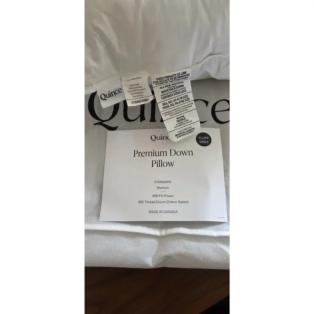 Quince Premium Standard Down Medium Pillow - NEW